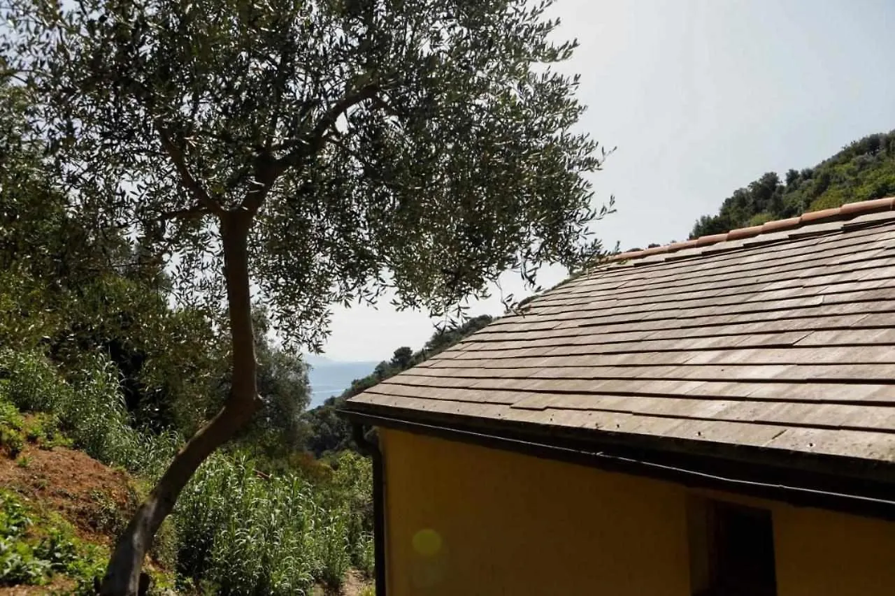 Farm stay Leremorifugio Escursionistico10 Min Steep Walk Villa Portofino Italy